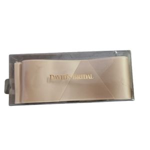 David's Bridal Ribbon Sash Champgne NIB